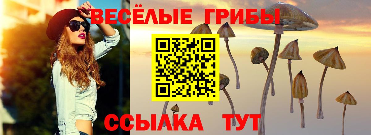 Псилоцибиновые грибы ЛСД Кириши